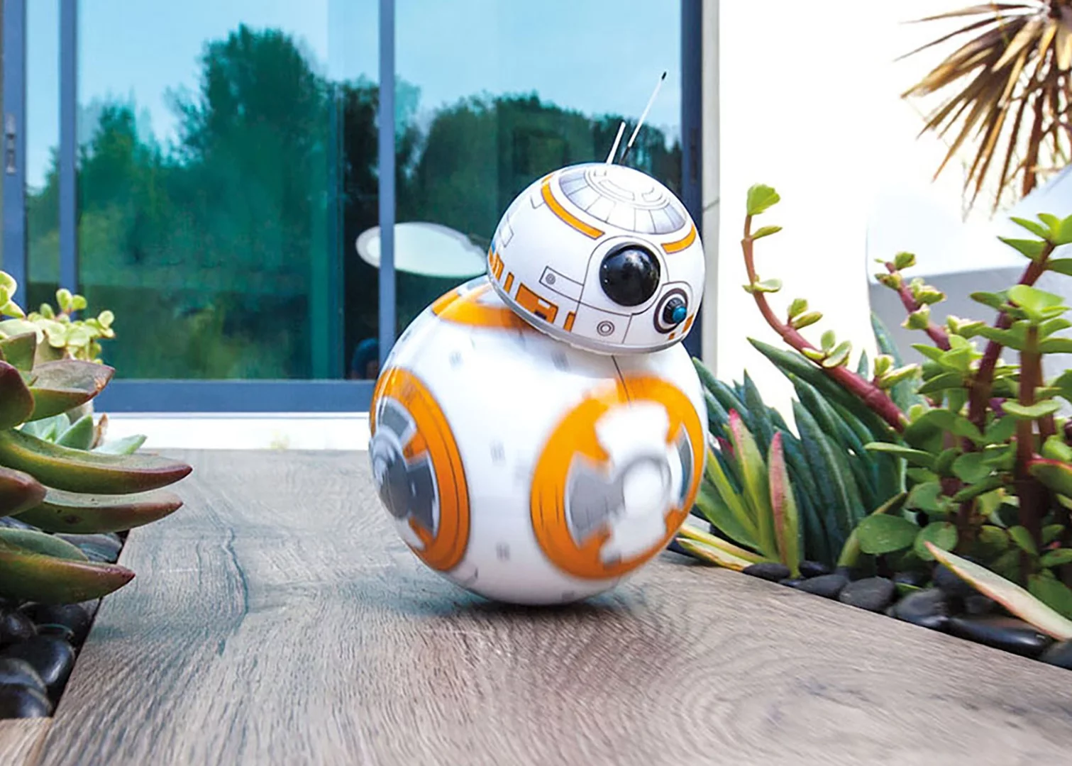 The Sphero BB-8 can patrol on its own or be driven manually