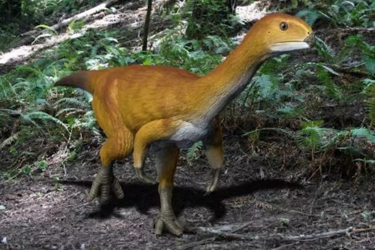 The recently-discovered Chilesaurus is made up of a weird mishmash of body parts from different types of dinosaurs