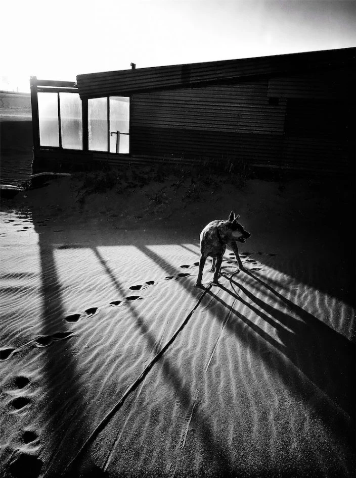 Honorable mention in the "other" category in the 2018 iPhone Photography Awards