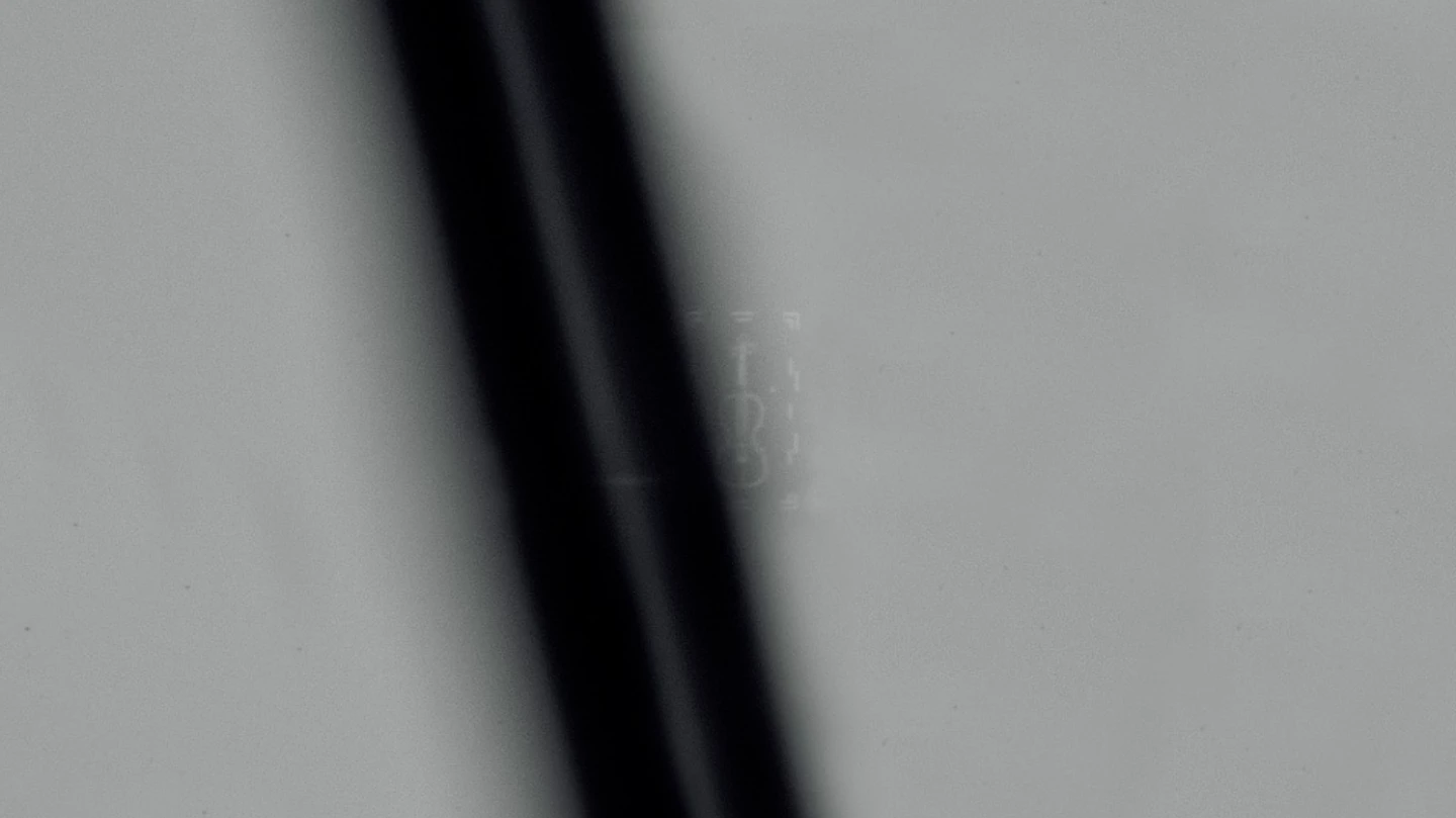 Further zooming of the hair puts the violin in clearer context. These images were captured using a Keyence VHX-7000N Digital Microscope