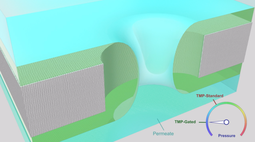A diagram showing how the liquid-gated membrane works, with the filter material in grey, the water in blue and the liquid coating in green