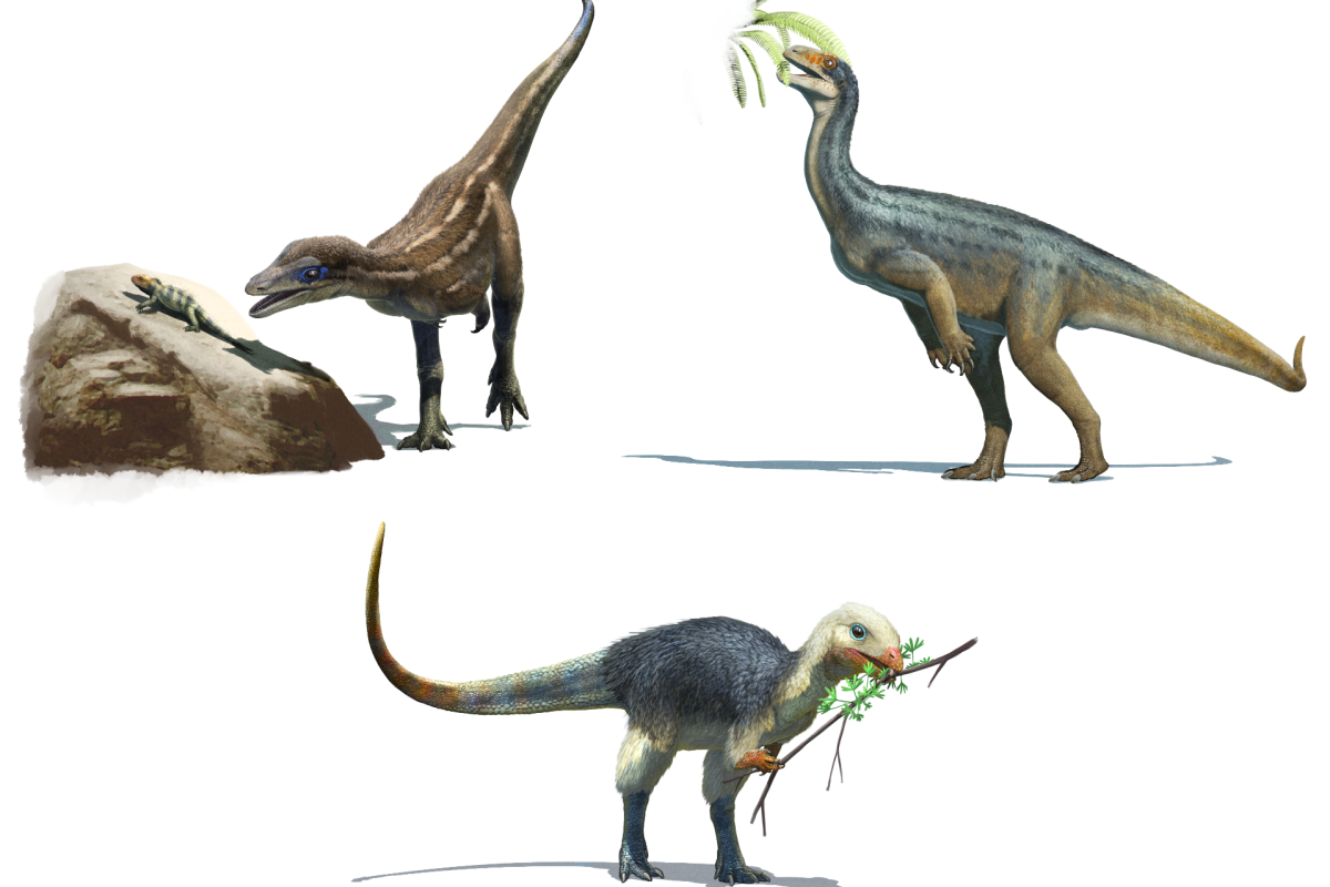 An artist's impression of three early dinosaur species, representing three different diets