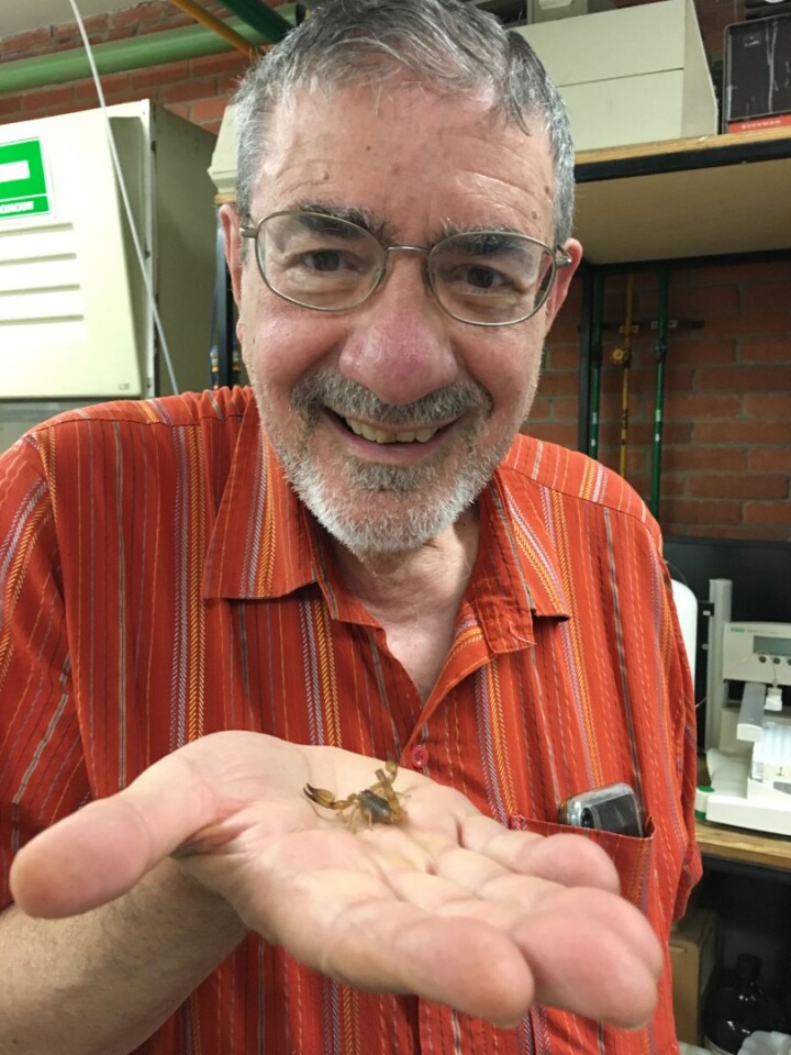Stanford Professor and study senior author Richard Zare holds the Mexican scorpion species Diplocentrus melici
