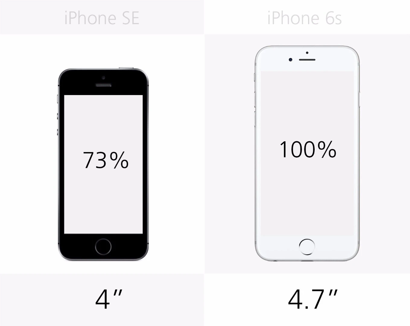 Display size