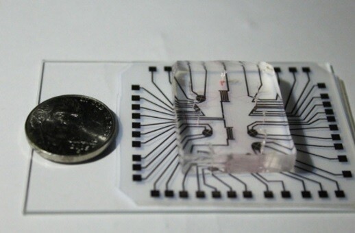 The lab on a chip contains a clear silicone microfluidic chamber for housing cells and a reusable flexible sheet of polyester with commercially available conductive nanoparticle ink making up the circuit