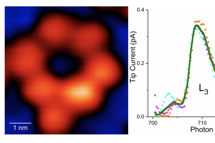 Ring shaped supramolecule with only one Fe atom is present and X-ray signature of just one Fe atom
