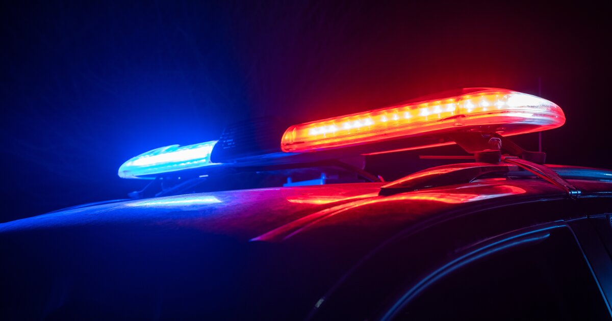 AI legal agent designed to guide police during domestic violence calls