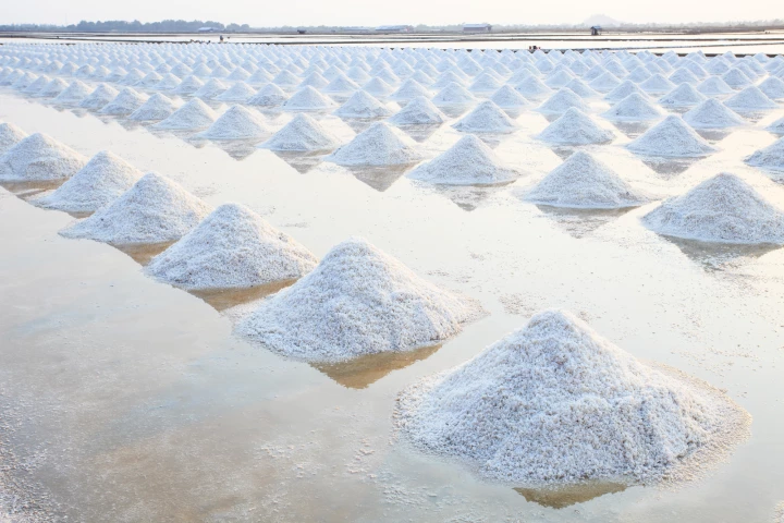 Salt has preserved everything from fish to cucumbers over the years, so why not carbon-containing crops as well?