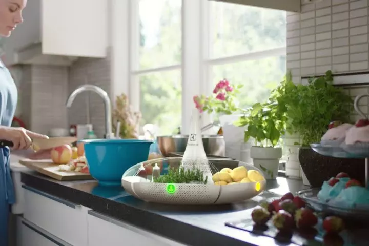 Bloom won the Electrolux Design Lab 2015