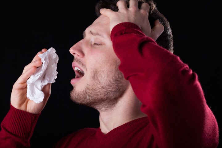 Long-term nasal allergies might actually be chronic sinusitis