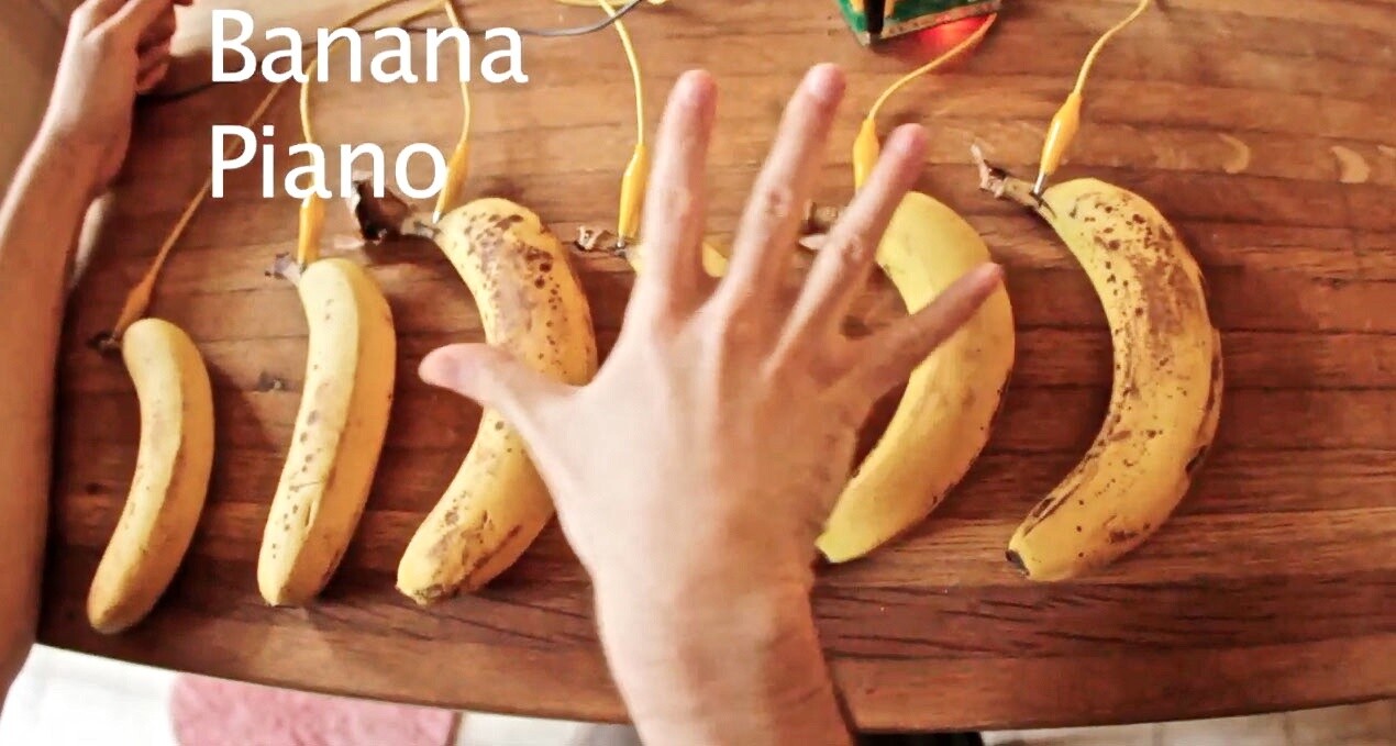 Bananas being used as piano keys in a software learning suite