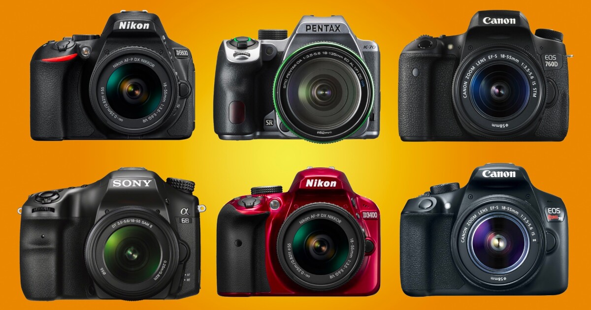 The best DSLR cameras for beginners
