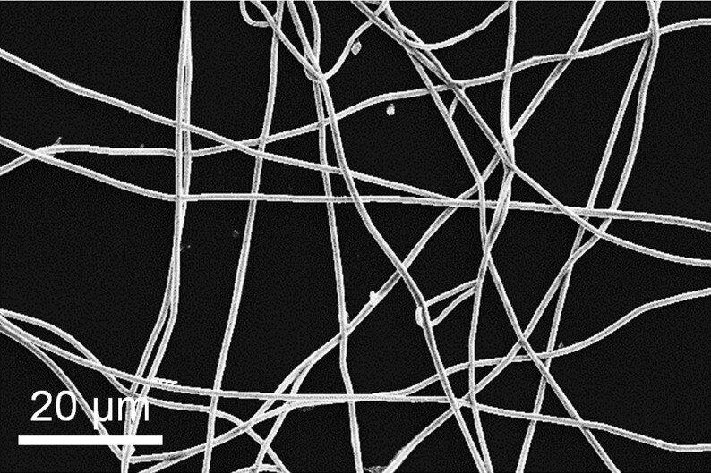 The conductive, copper-plated fibers are entangled, and the spaces between them make the thin film highly transparent