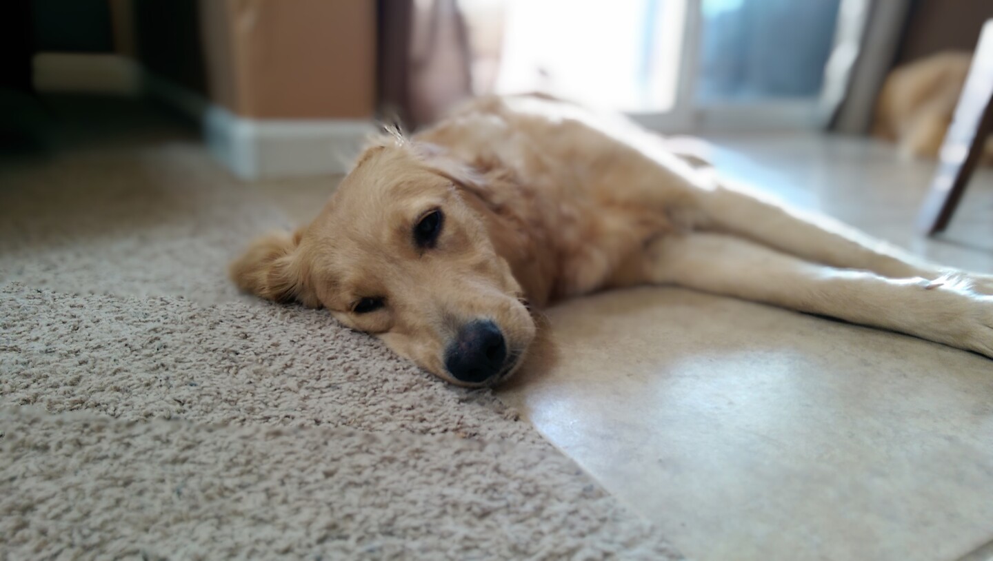 The One's UFocus camera feature, which blurs backgrounds, in action