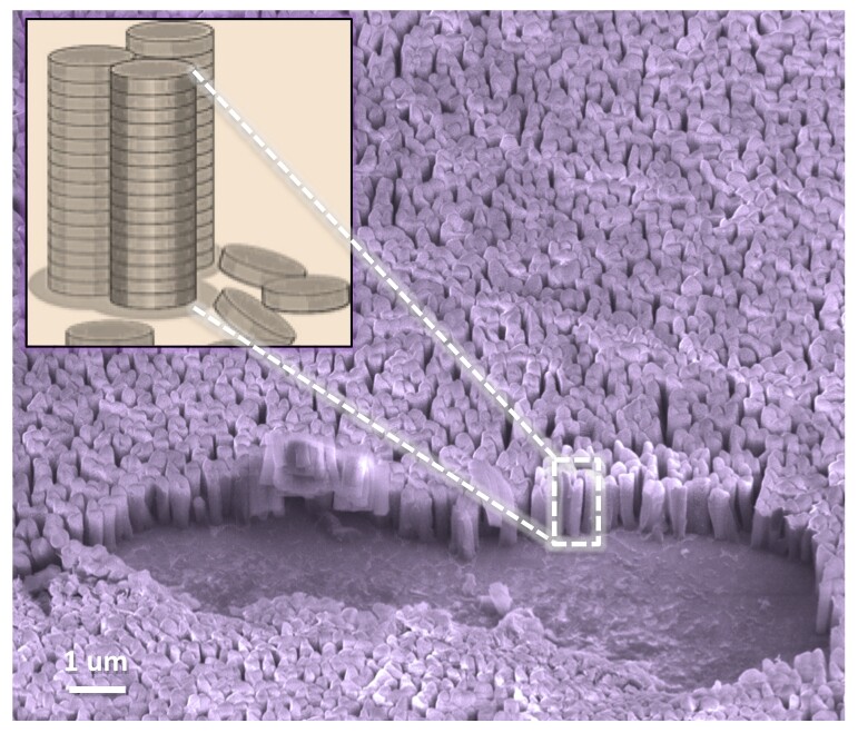Vertical nanopillars are ideal geometries for getting around the challenges of producing polymer architecture to boost power-conversion efficiency of light to electricity to power electronic devices (Image: UMass Amherst)