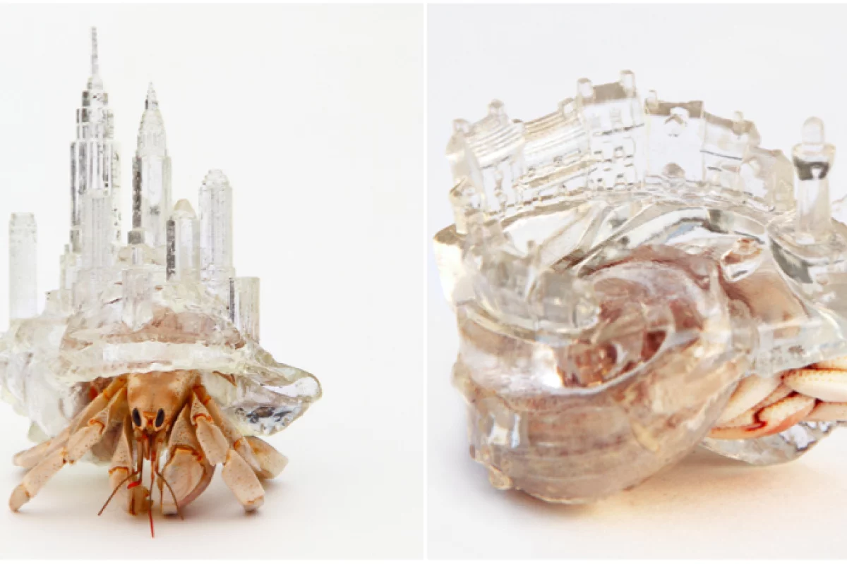 Artificial shells for hermit crabs by Aki Inomata (© AKI INOMATA)