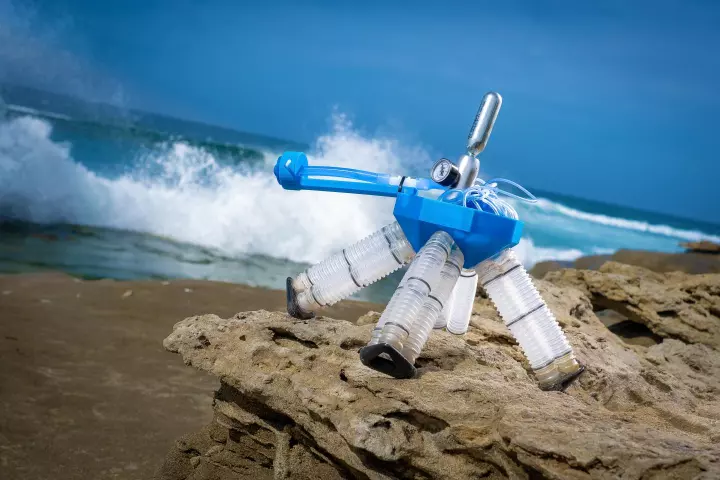 The new air-powered robot developed at UC San Diego has a walking pattern inspired by sideneck turtles