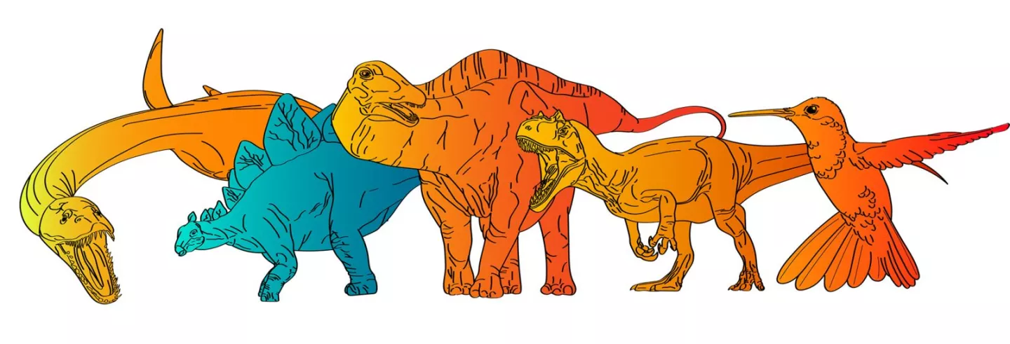 A comparison of the metabolisms of various animals examined in the study, with yellow/orange indicating warm- to hot-bloodedness, and blue/green indicating cold blood.