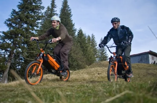 Click image to enlargeImage: Bergmonch