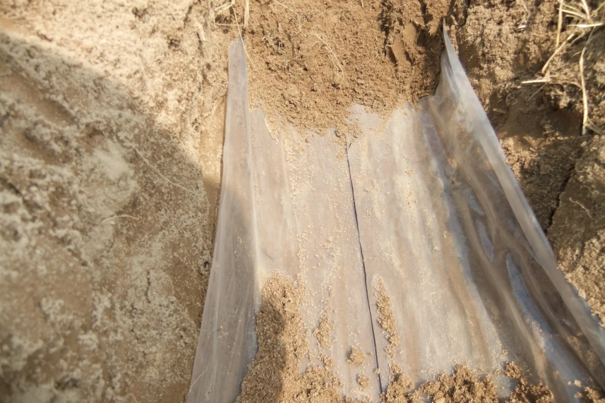 The new water-saving membranes developed at MSU (Photo: MSU)
