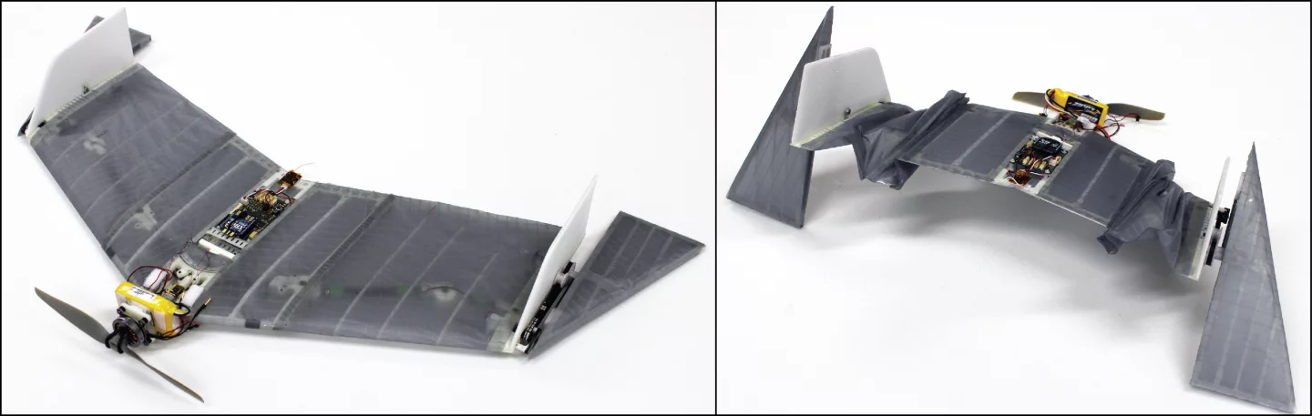 The DALER drone was actually inspired by the vampire bat that uses the tips of its wings like legs when moving around on the ground