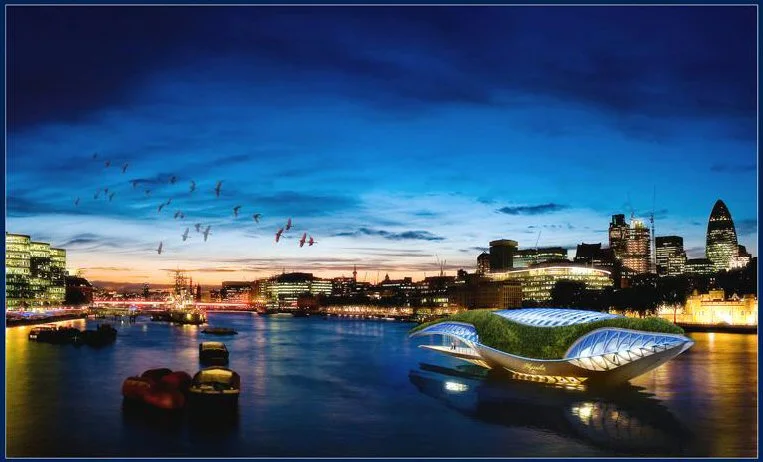 Purifying the water of the Thames with Physalia