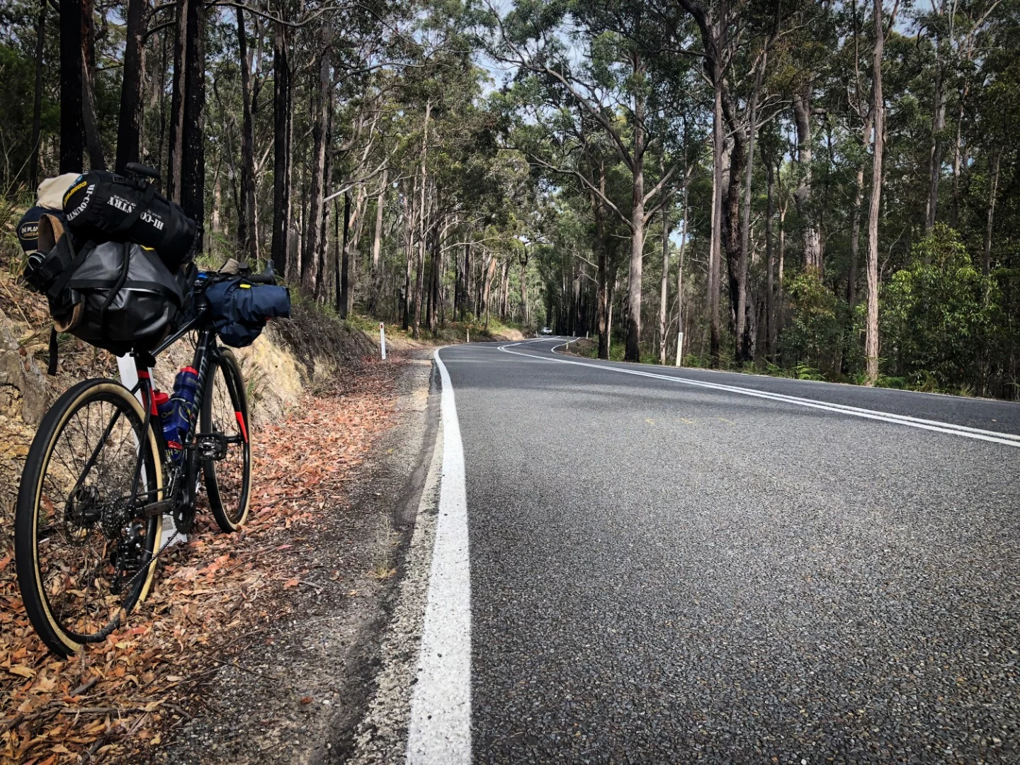 A stretch of road winding through Croajingalong National Park