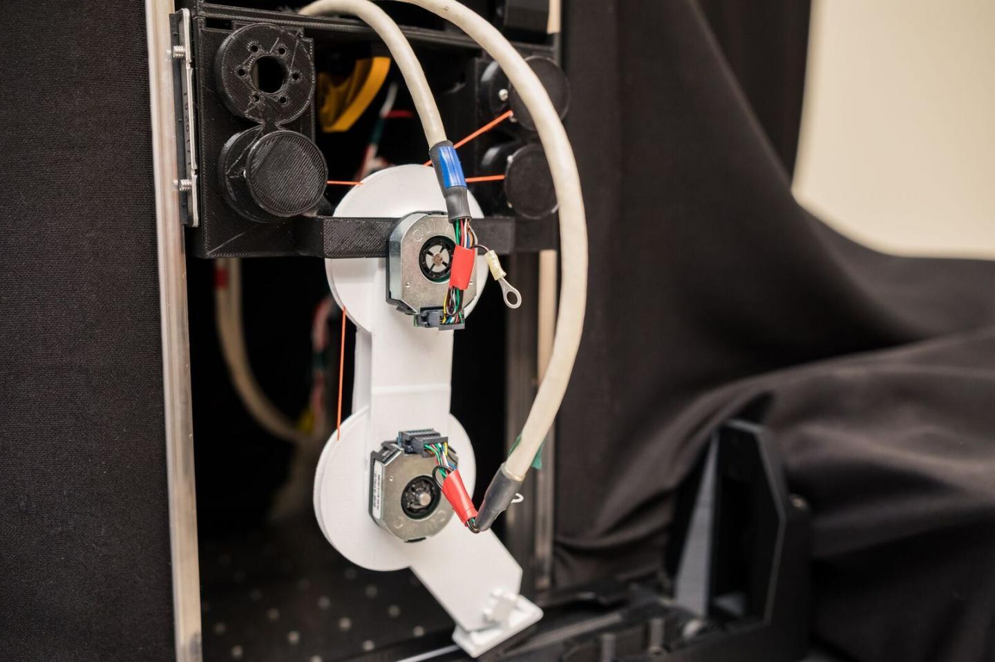 Researchers have developed a robotic limb actuated by animal-like tendons and controlled by purpose-built AI algorithms