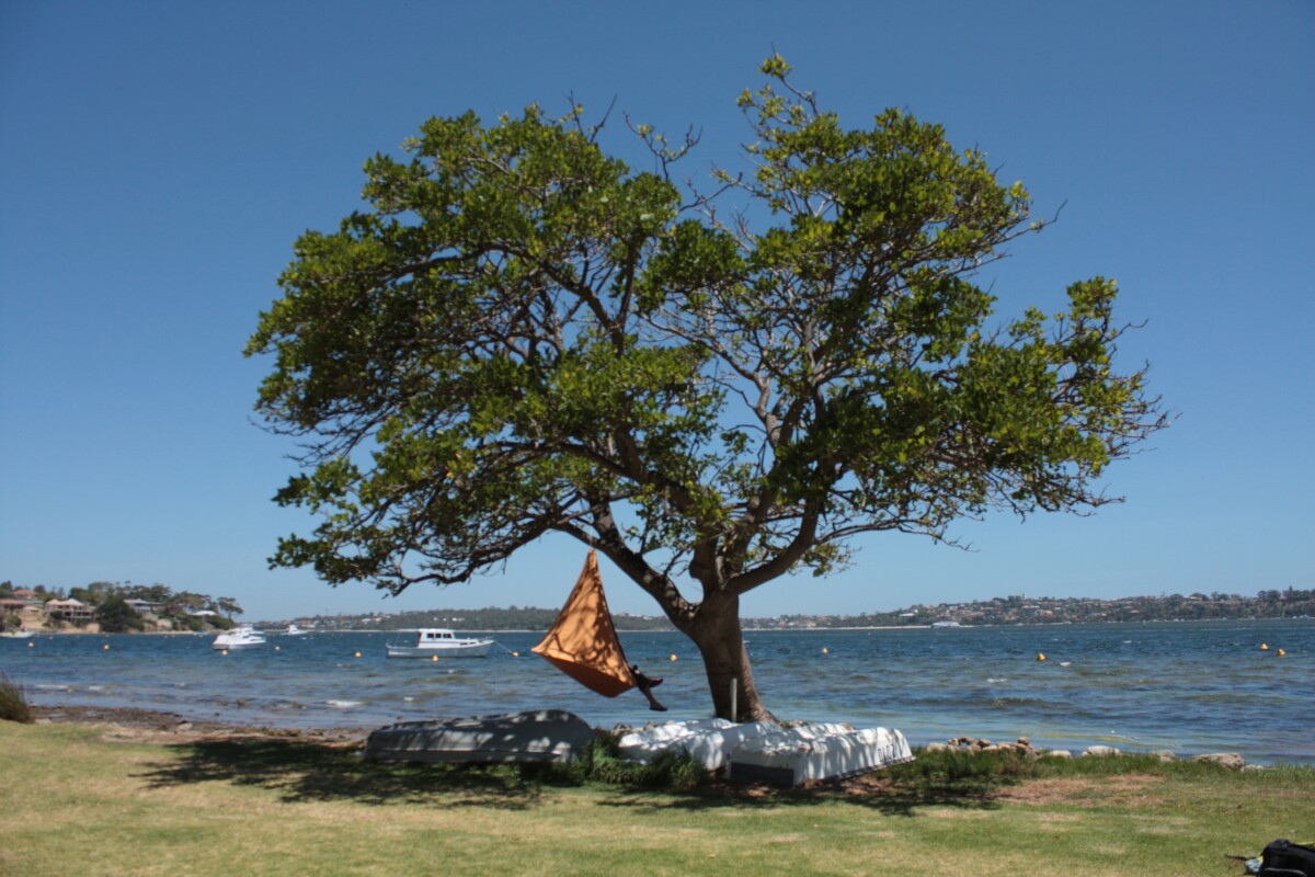 Cacoon can be hung anywhere by a single point, making the range of possible locations wide and varied