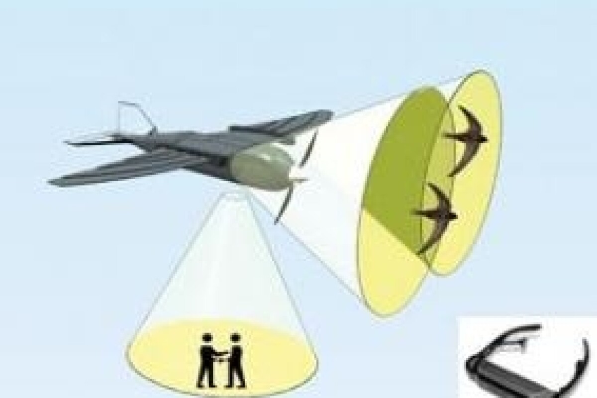 Morphing micro air vehicle biology essay 04 image