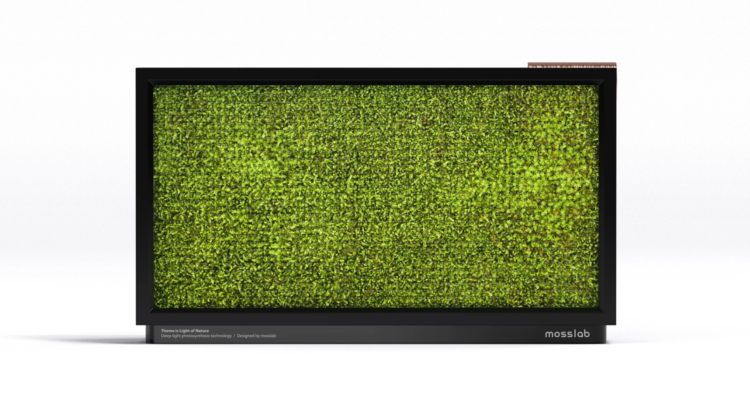 The moss filter is easy to care for – even if you don't have the best luck with traditional house plants