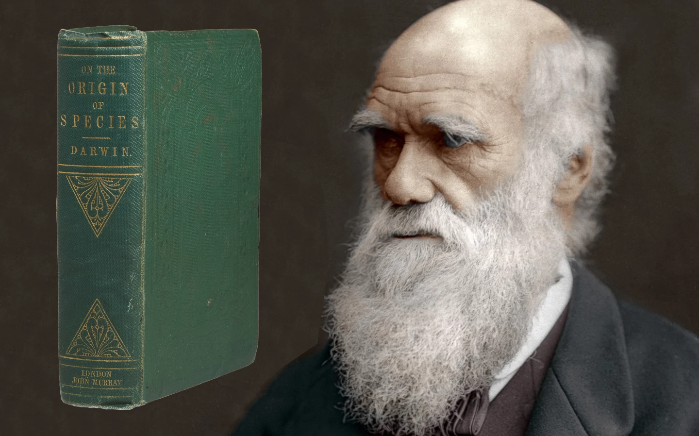This copy of “On the Origin of Species by Means of Natural Selection” by Charles Darwin sold for $200,000 at Christie’s on July 18, 2020