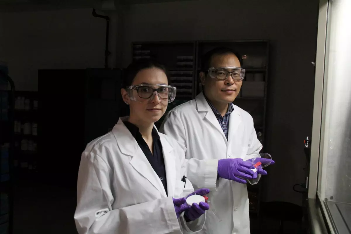 Hyo-Jick Choi (right) and graduate student Ilaria Rubino examine samples of filters treated with a solution that kills viruses
