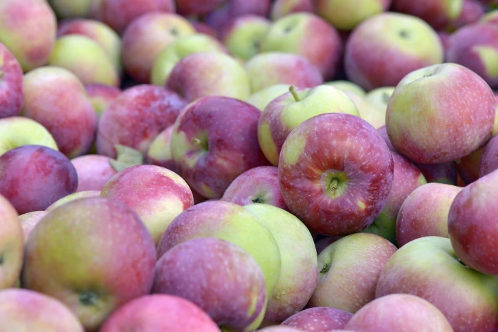 The study utilized pulp extract obtained from Empire apples, which are one of the most commonly grown varieties in the US