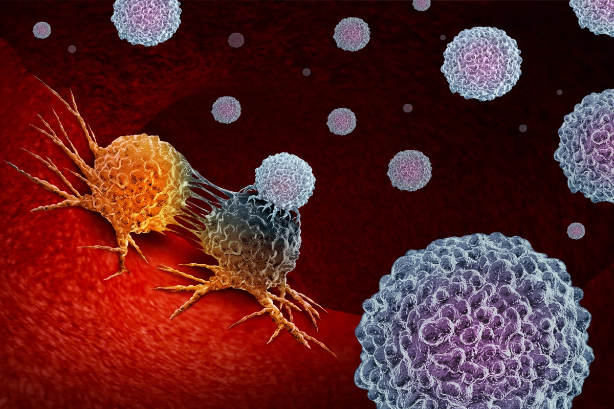 Researchers have tested a new form of cancer immunotherapy called CAR-NK cell therapy