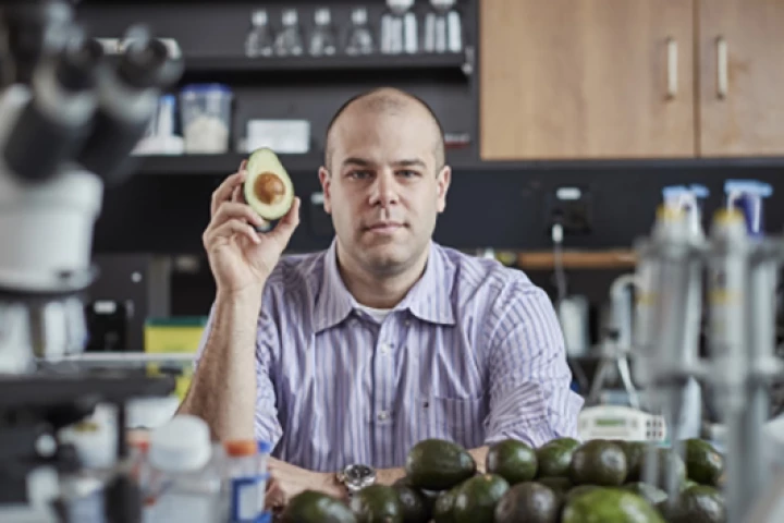 A molecule found in avocado has shown promise as a potential drug to treat a form of leukemia