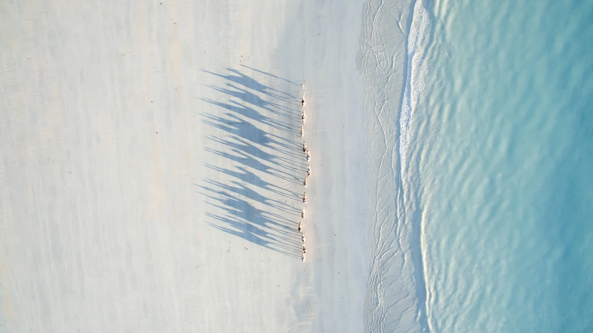 A caravan of camels casting long shadows across Cable Beach in Western Australia, the second-place winner in the Travel category