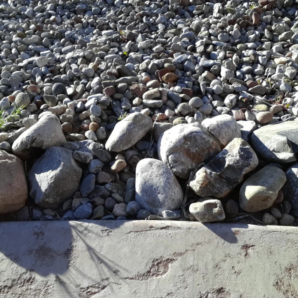 Another outdoor, direct sunlight shot