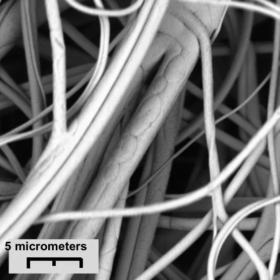 A microscope image of fabric fibers with a conductive nanocoating applied (Image: Jesse Jur)