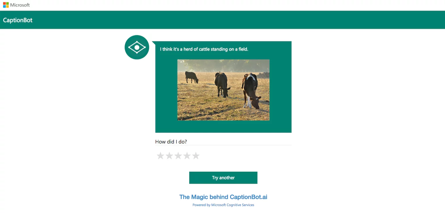 Microsoft's own images always seem to return positive with correct captions, ours weren't quite as successful