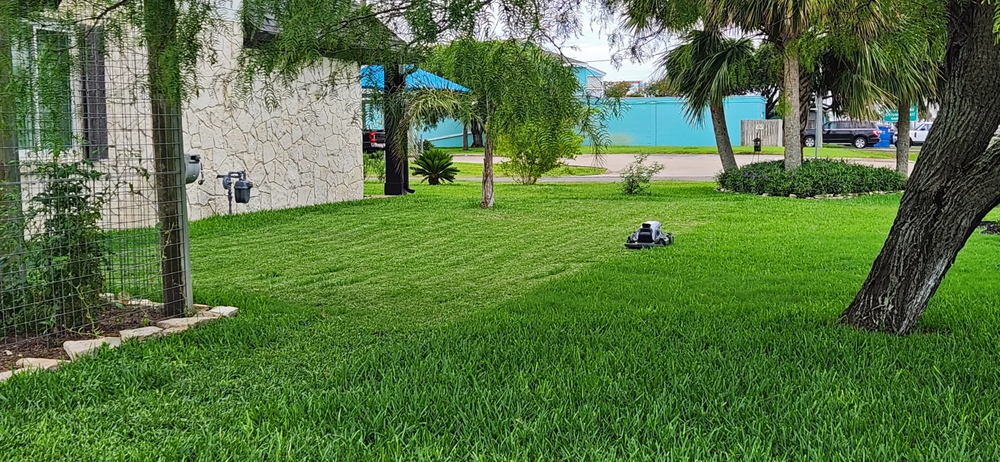 "No blade left behind!" Well, not always. You can see strips missed here on the first pass. The Tron will go back and get some or all of them when it finishes the rest of the zone.