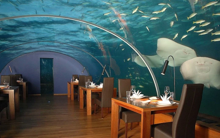 Guests are offered the experience of dining 16 feet (4.9m) below sea level with 180-degree views of the reef and marine life (Photo: Conrad Rangali)
