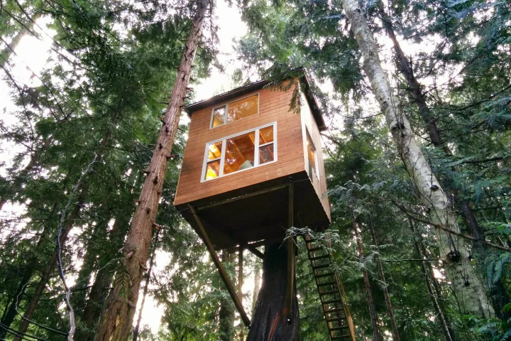 The Raven Loft is perched some 5.1 m (17 ft) off the ground in British Columbia (Photo: Geoff de Ruiter)