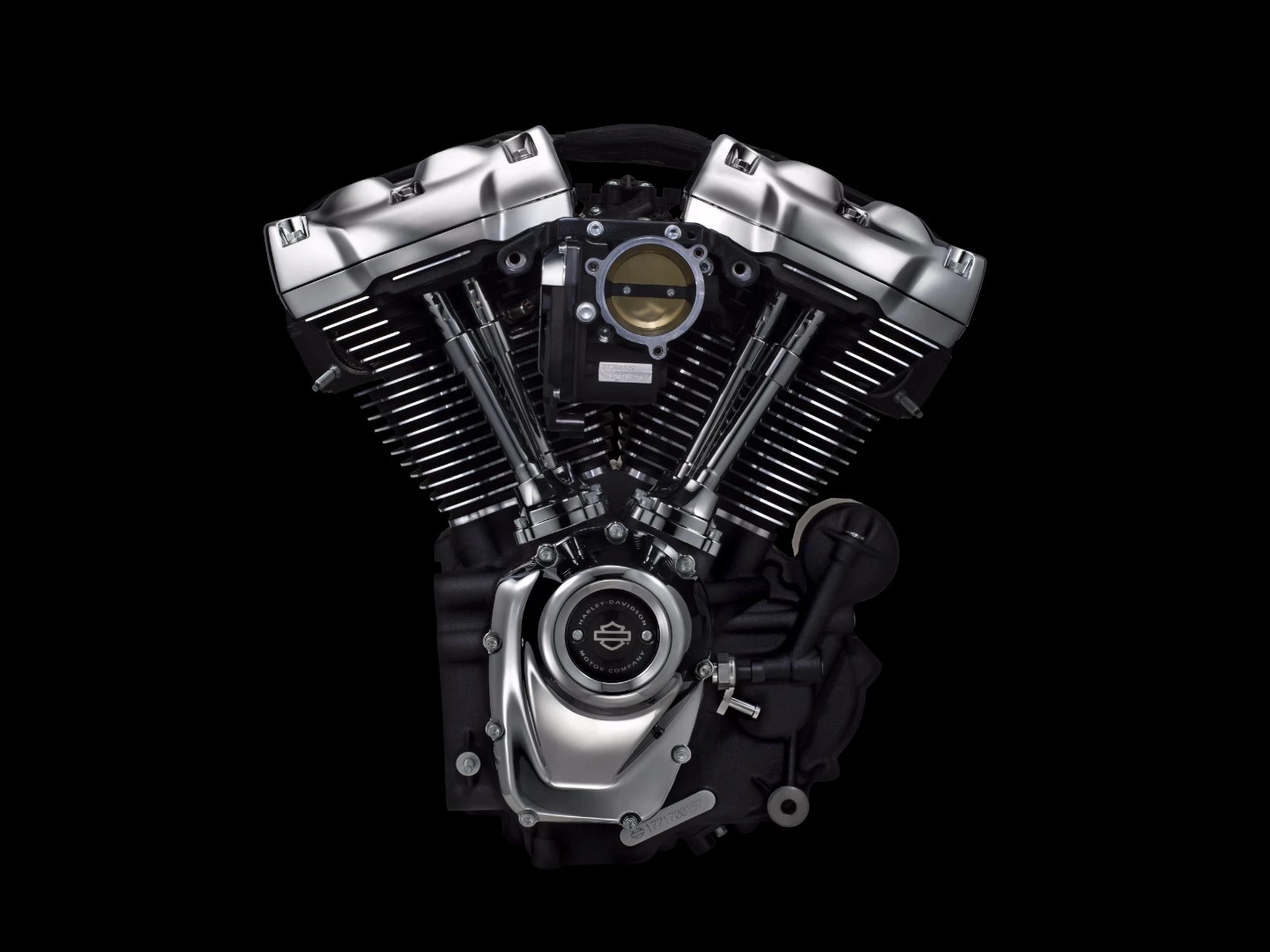 Harley-Davidson Milwaukee Eight: air cleaner removed