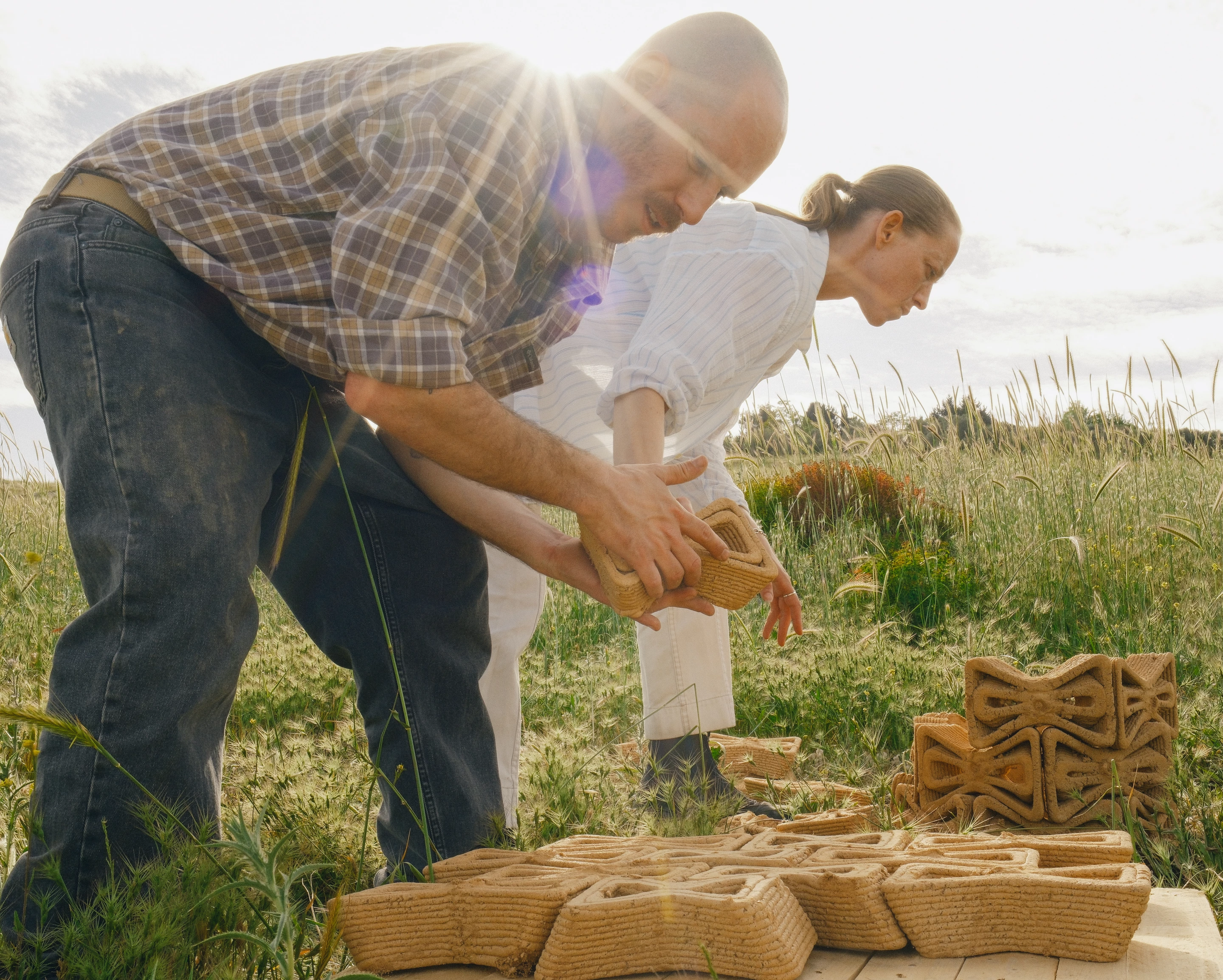 Every curve in TreeSoil is crafted from climate data, guiding air, sun, and moisture to strengthen a growing sapling