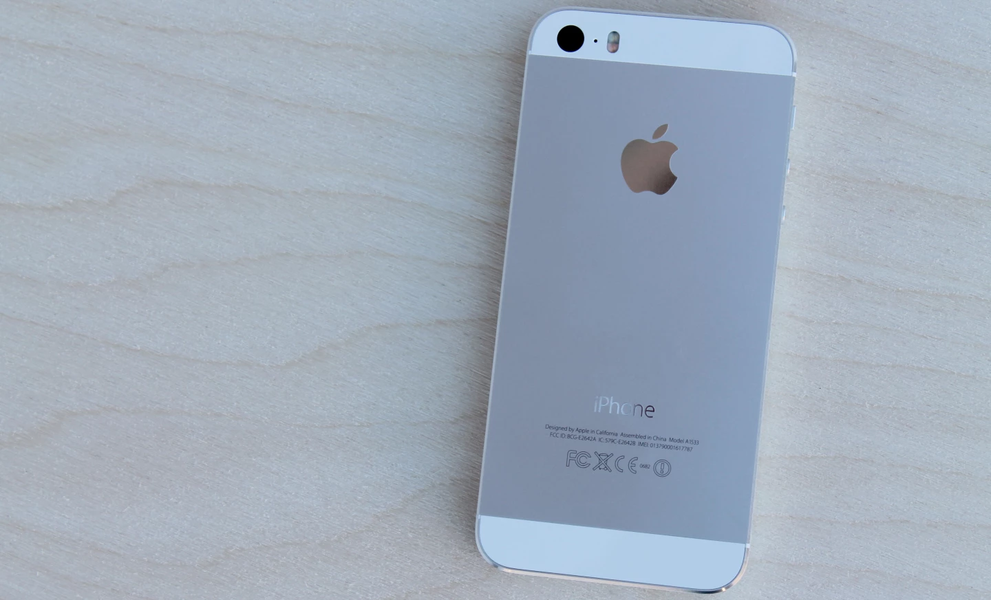 The back of the iPhone 5s