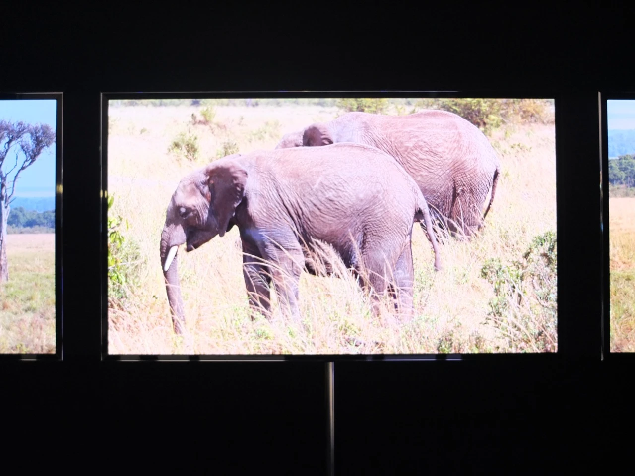 Panasonic also took the opportunity to show off its 4K OLED screens