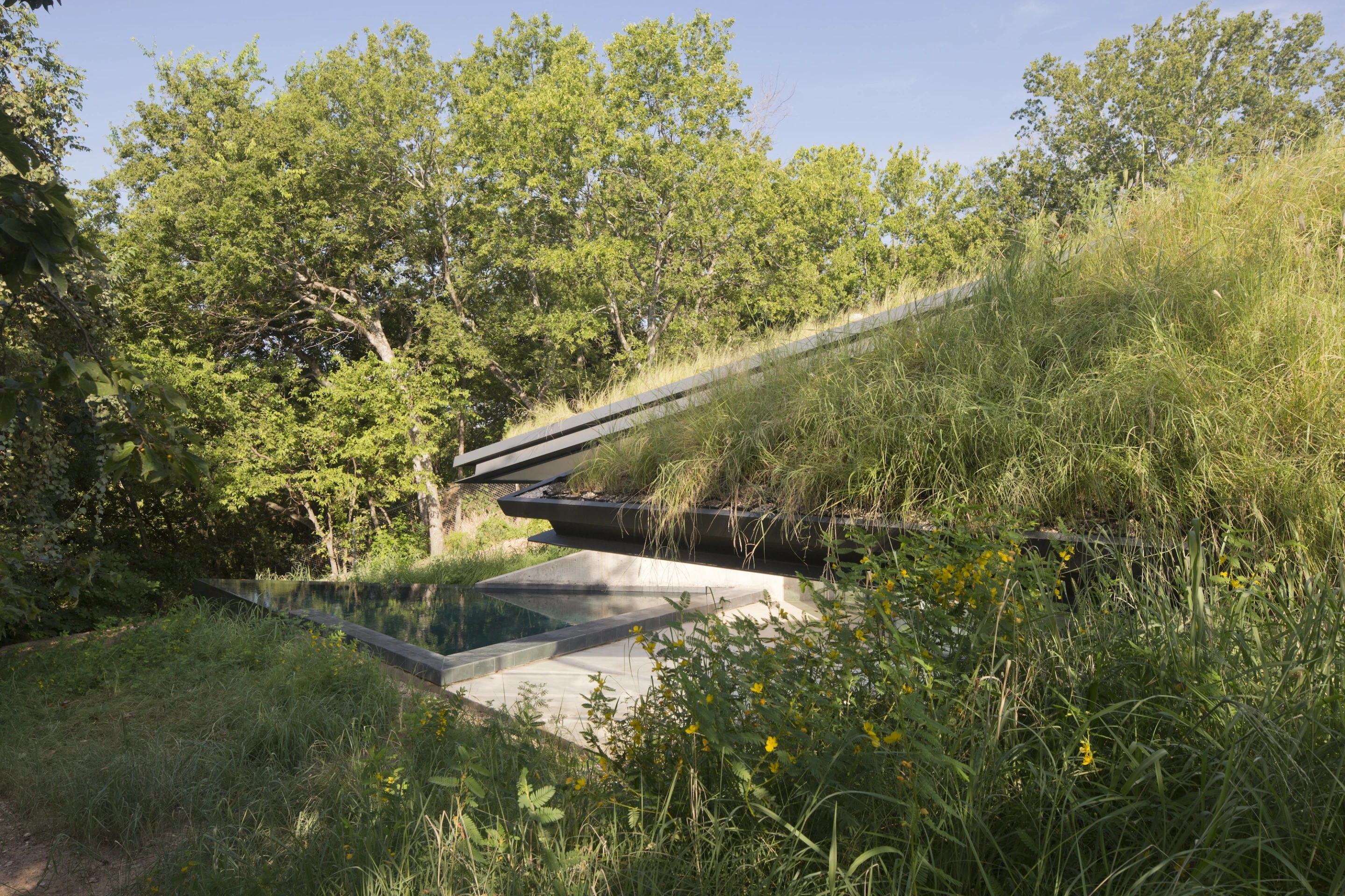 Over 40 kinds of native flora have been carefully re-introduced to the area