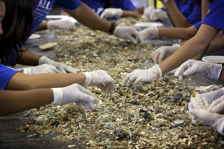Sorting through the debris from Kahuku Beach in Hawaii