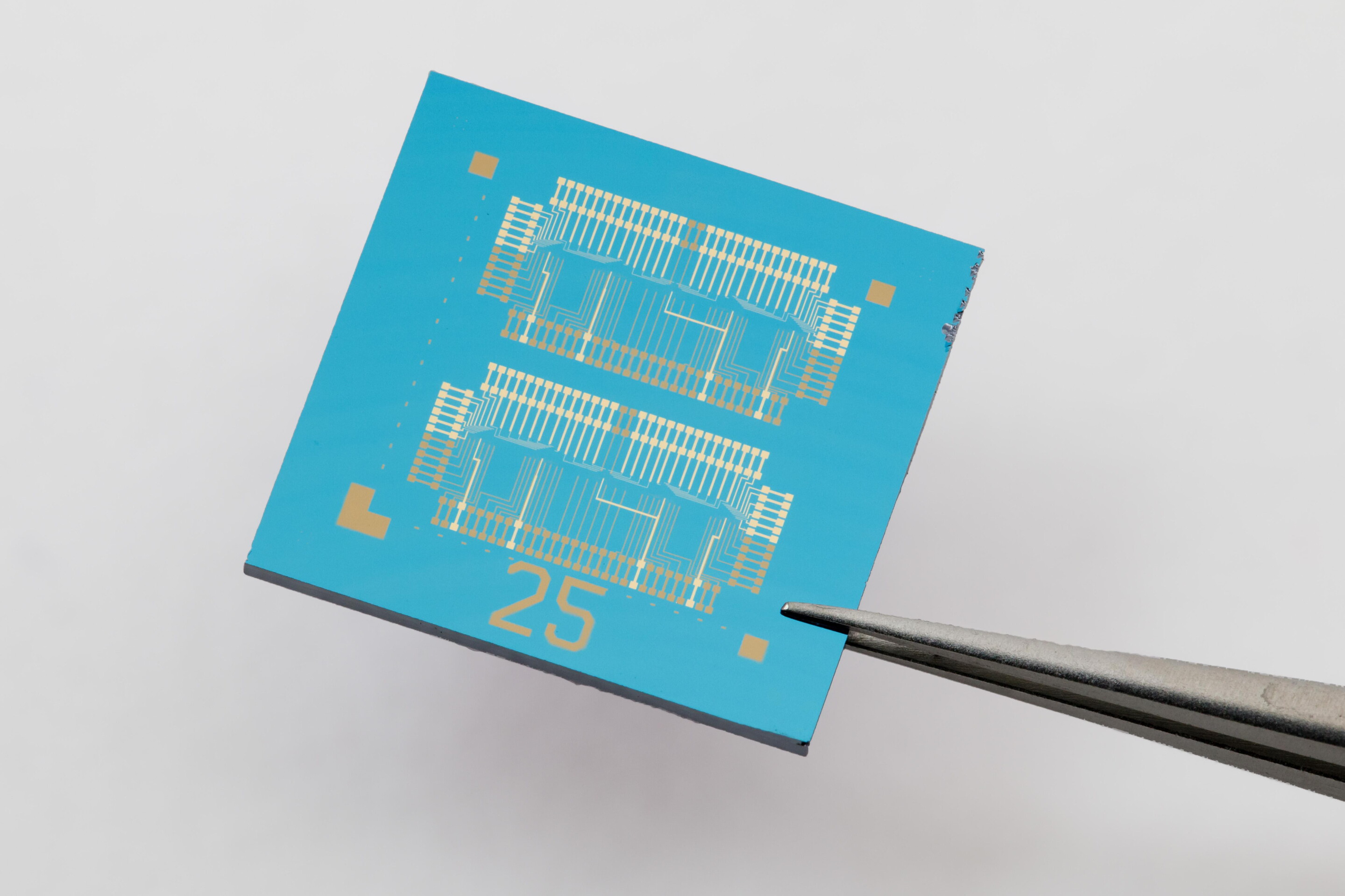 2D material helps new computer chip process and store data like a neuron